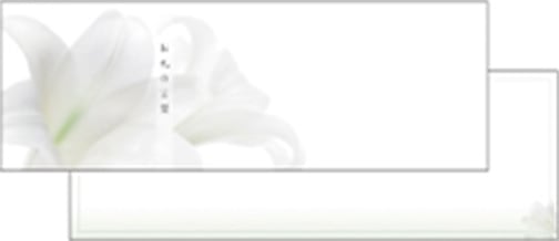 Y5001