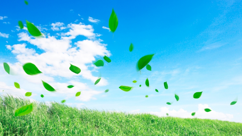 新しい風を巻き起こすチカラ